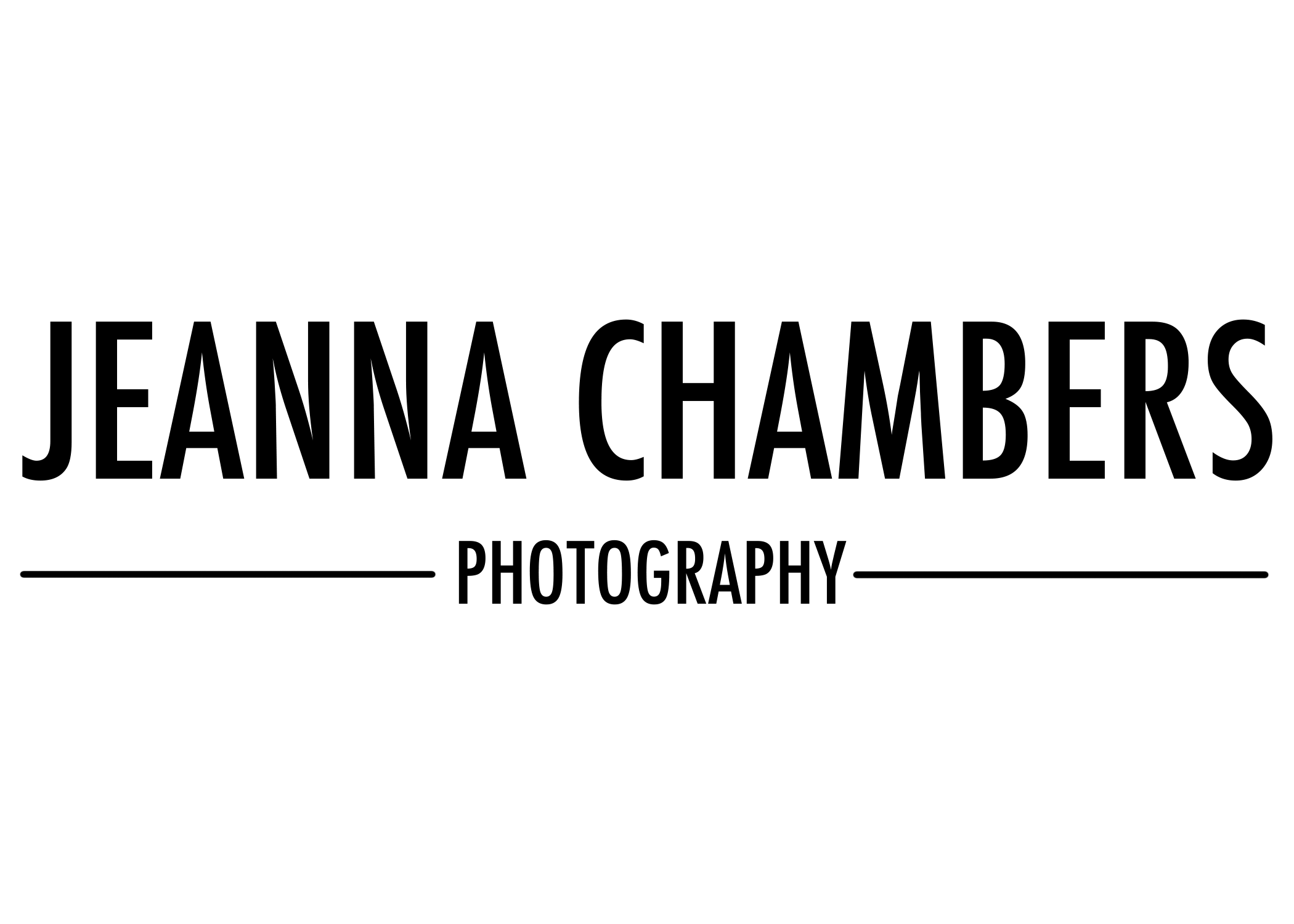 VB Logo
